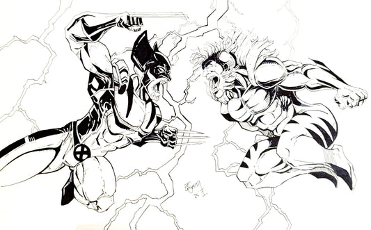 Wolverine vs Sabertooth