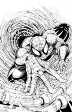 PRINT: Spiderman through the Web Tunnel