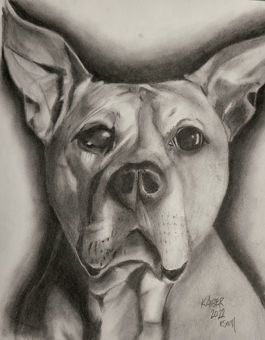 Commissioned Piece - Kaiser: American Staffordshire